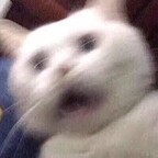 KevinBlandy's avatar