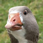 markersocial's avatar