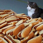 Wolftallemo's avatar