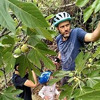 pierreozoux's avatar