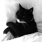 grahamperrin's avatar