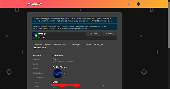 Image: image (1305×683 70.3 KB)