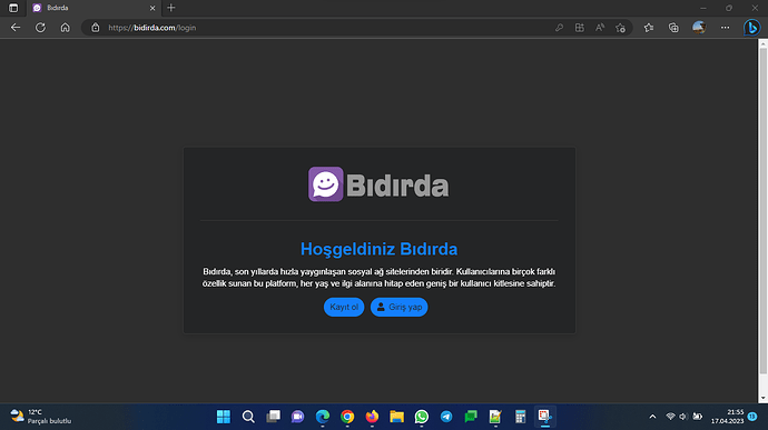 Image: Ekran görüntüsü 2023-04-17 215543 (1366×768 69.1 KB)