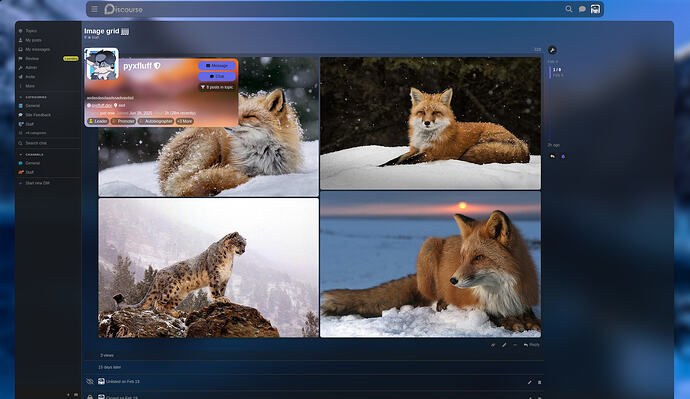 Image: image (1864×1080 360 KB)