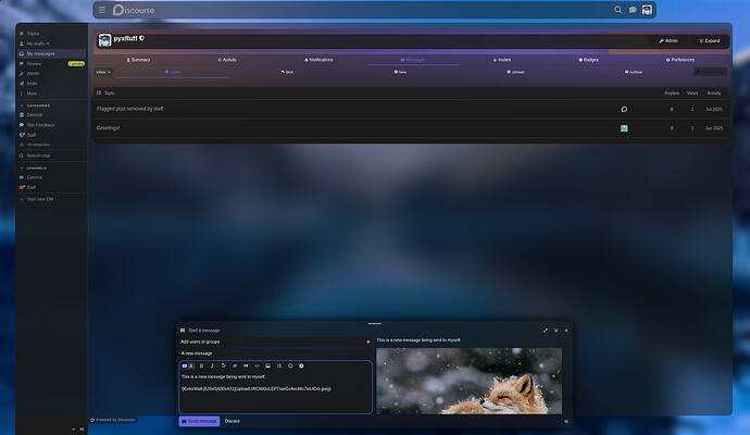 Image: image (1862×1080 170 KB)