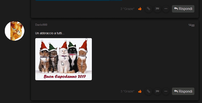 Image: orn (928×476 38.1 KB)